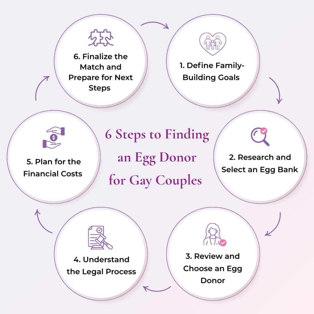 6 steps to finding an egg donor for gay couples, infographic. 