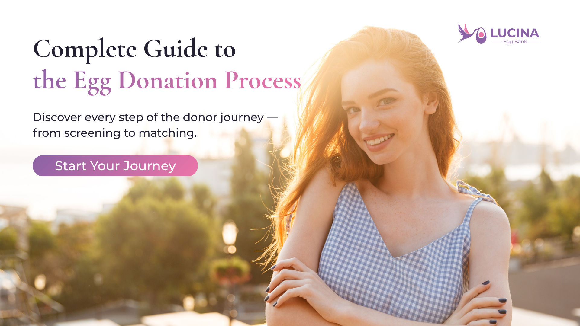 egg donation process