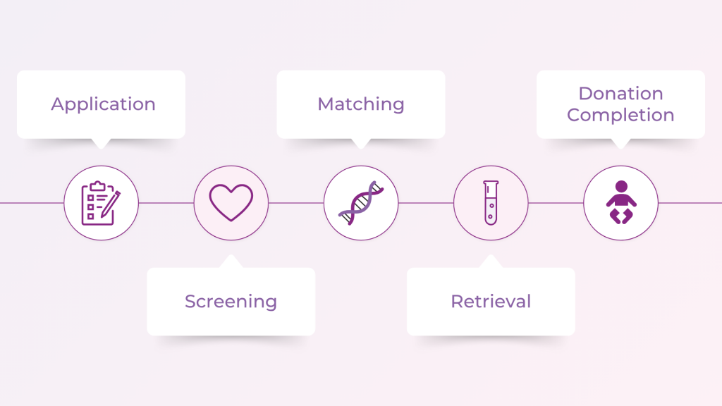 A diagram depicting the egg donation process step-by-step