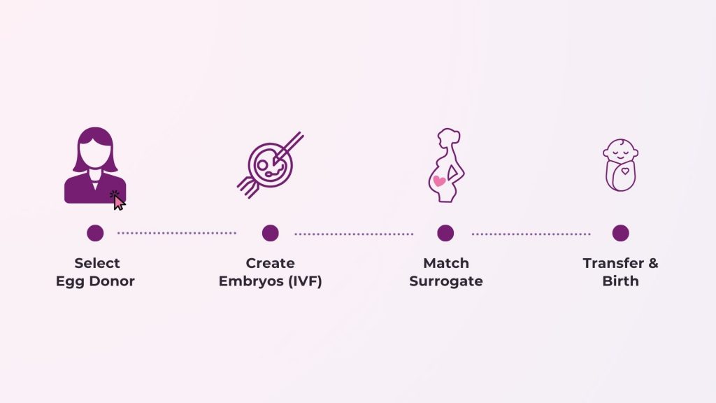 Infographic showing the 4 steps of surrogacy with an egg donor: selecting a donor, creating embryos via IVF, matching with a gestational surrogate, and embryo transfer.