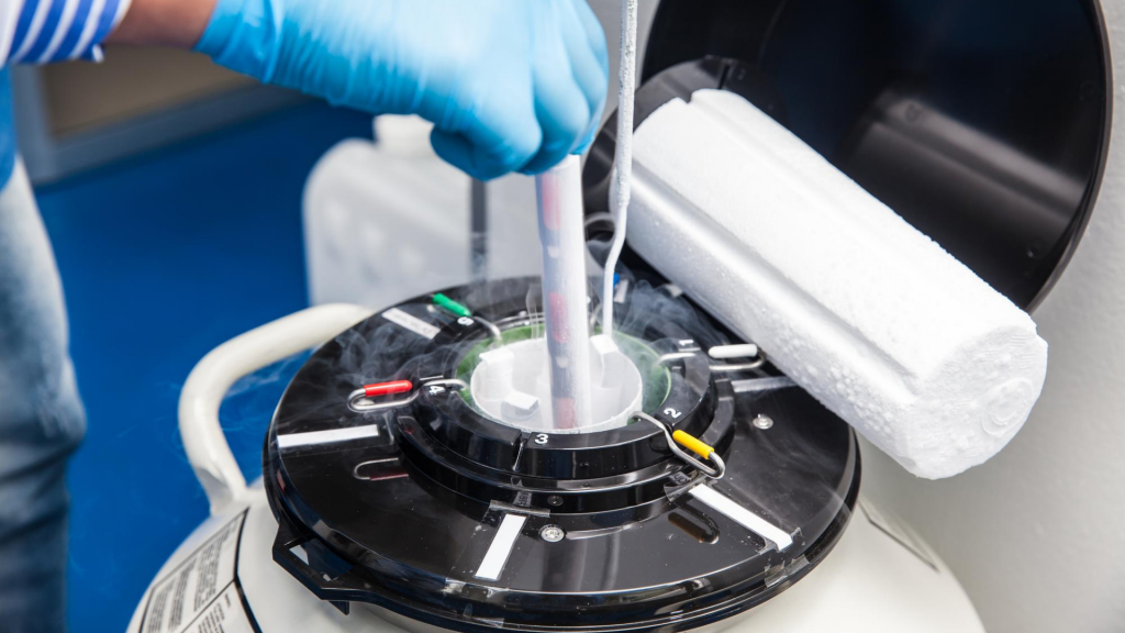 Fertility lab with a cryogenic storage tank (for frozen eggs)