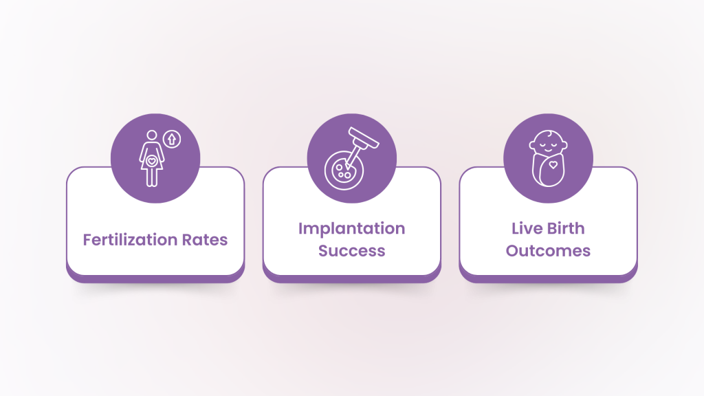 Success Rates of Proven Egg Donors