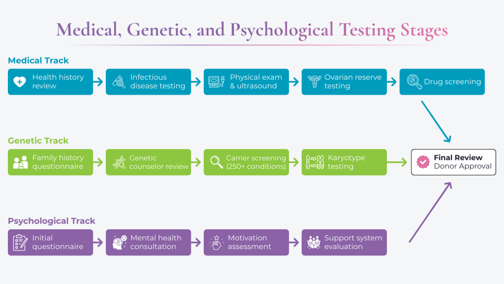flowchart showing medical, genetic, and psychological testing stages for egg donors