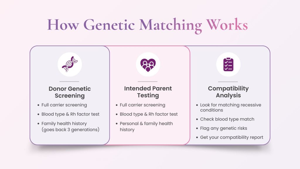 Chart displaying ten common genetic conditions screened during egg donor testing