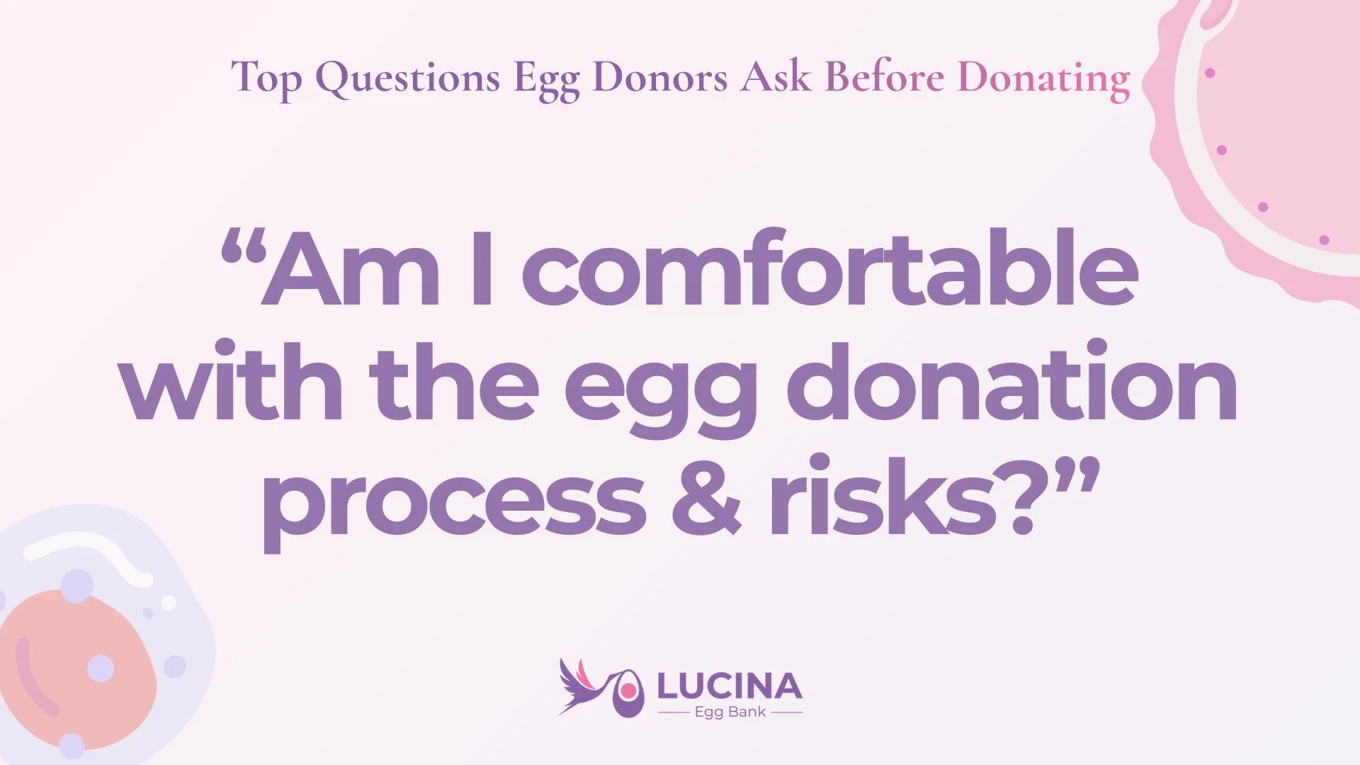 questions egg donors ask before donating - am i comfortable with the egg donation process