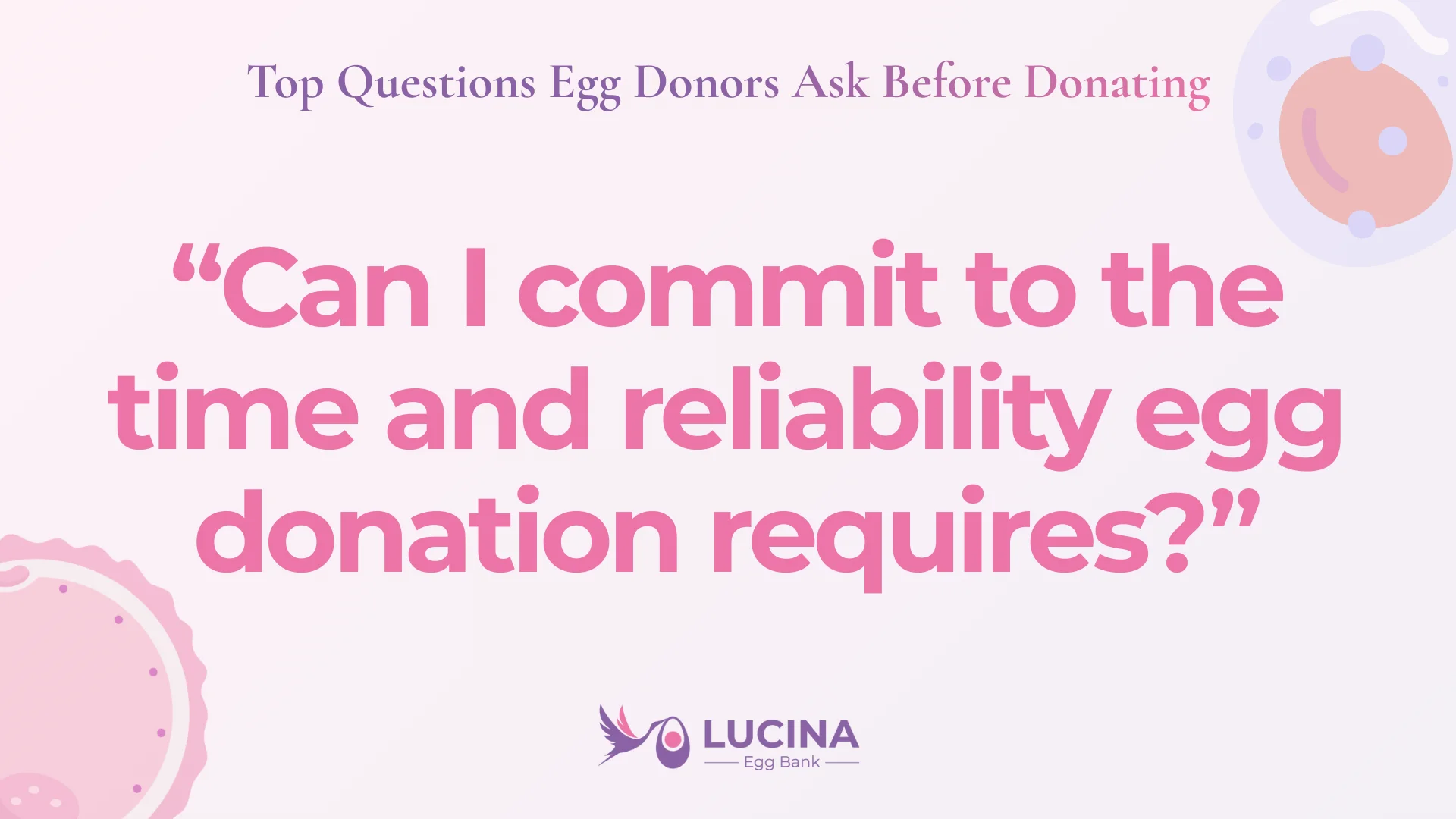 questions egg donors ask before donating - can i commit to the reliability required