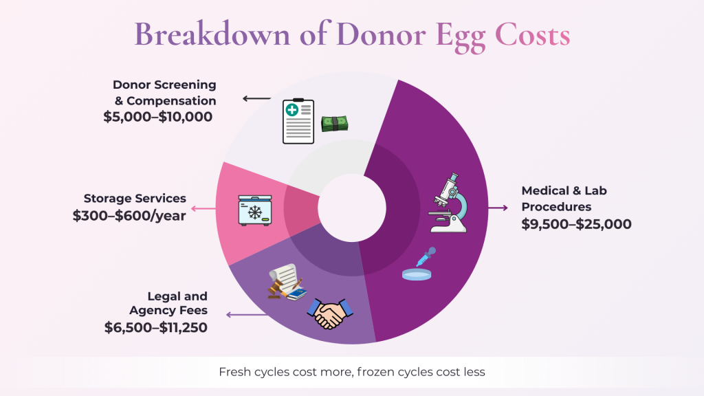 Infographic showing the breakdown of donor egg costs