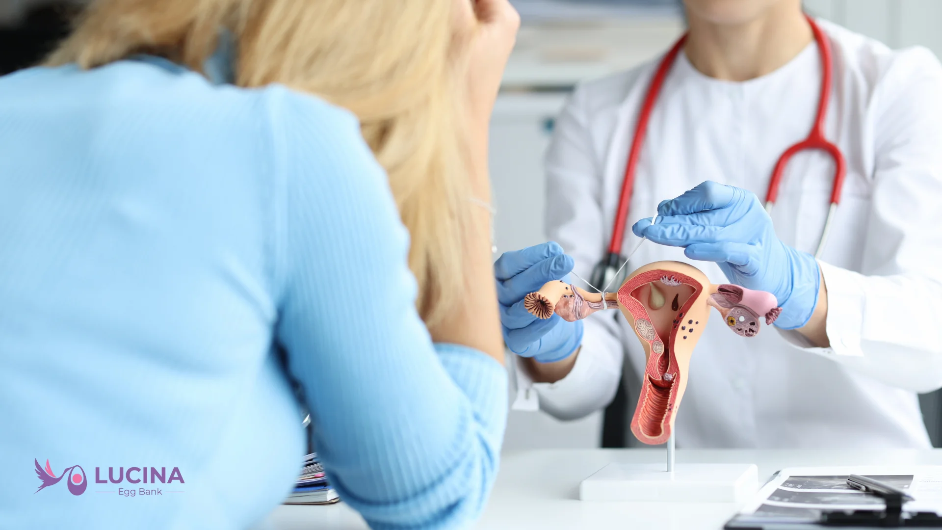 lucina egg bank can you donate if your tubes are tied