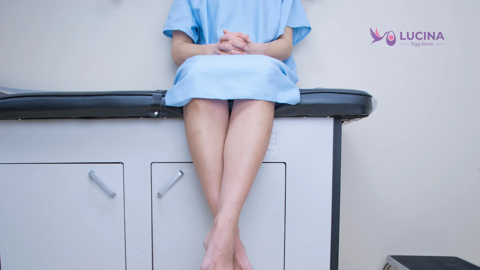 lucina egg bank - how does egg donation procedure work