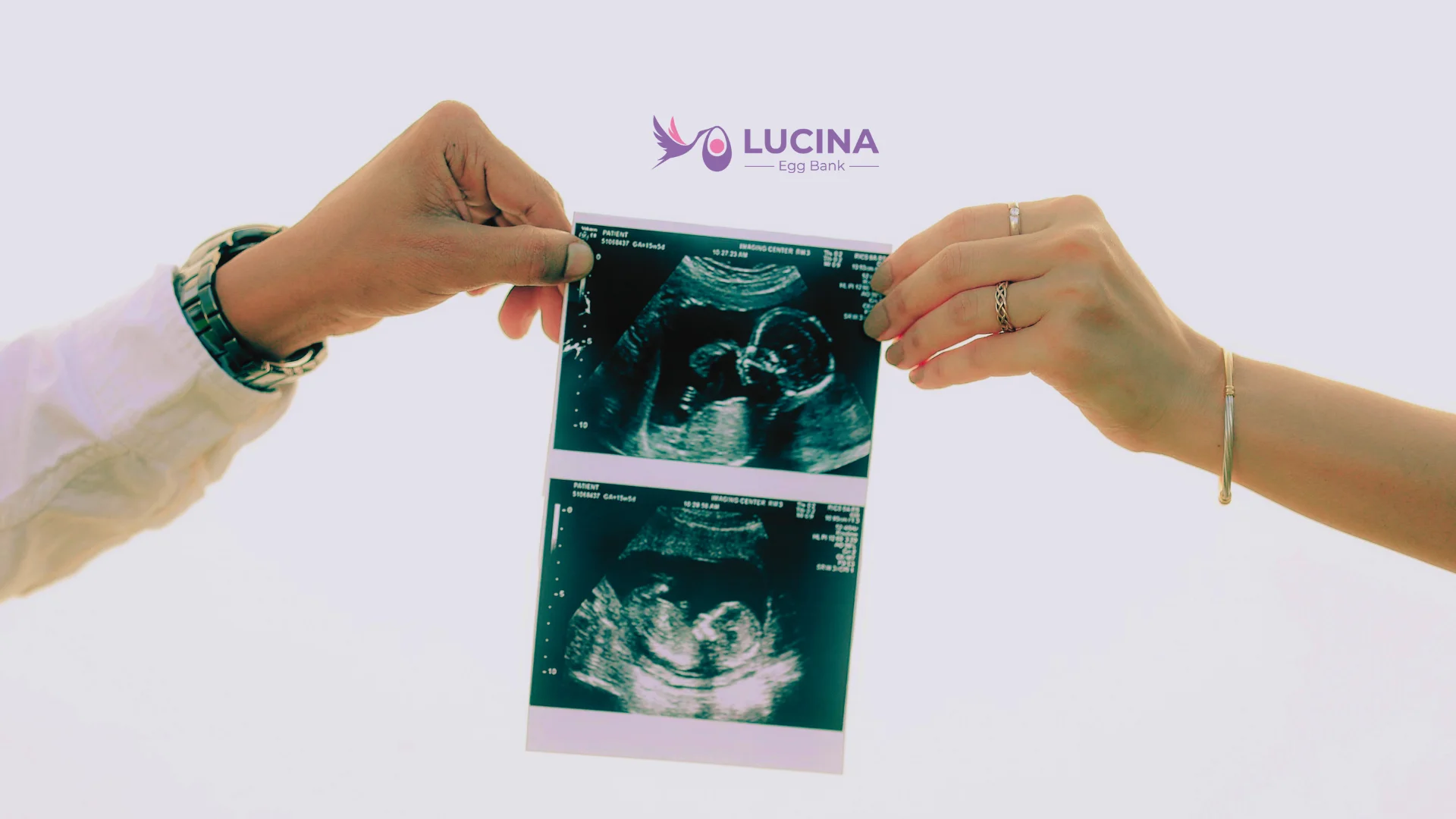 lucina egg bank - if i donate eggs, is the child biologically mine